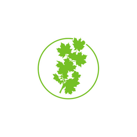 Leaf Logo. Leaves Logo icon isolated on white backgroundのイラスト素材