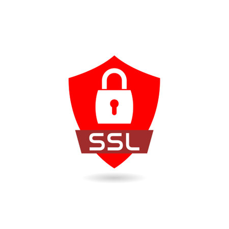 Data security icon with shadowのイラスト素材