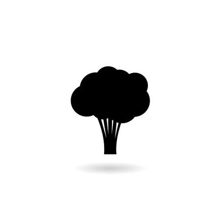 Broccoli with shadow icon isolated on white backgroundのイラスト素材