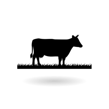 The cow is eating grass black and white silhouette icon with shadowのイラスト素材