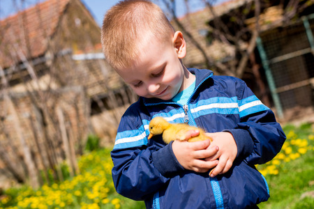 Boy hugs little duckling