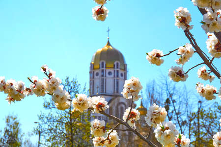 Beautiful church,sky and bright white spring flowers