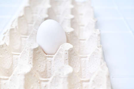 One white egg in a cardboard tray on a white background