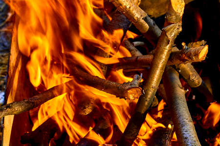 Kindling fruit firewood for grilling and smoking fish meat