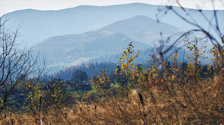 Distant mountains with blue haze framed by autumn grassの写真素材