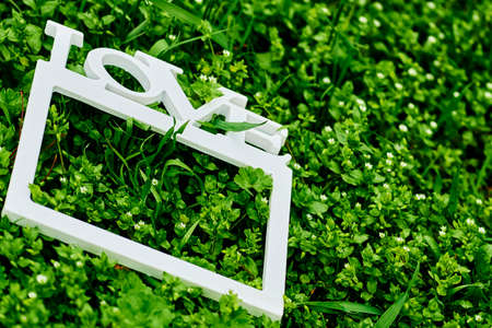 White frame love on a green meadow with white flowers