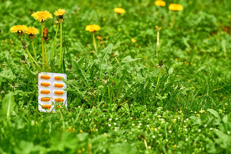 White blister with orange red pills on a green lawn with dandelionsの写真素材
