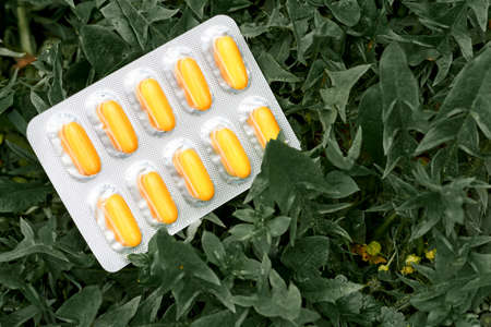 White blister with yellow orange pills among greeneryの写真素材