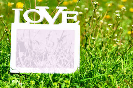 Pale pink love frame on green grass with white and yellow flowersの写真素材