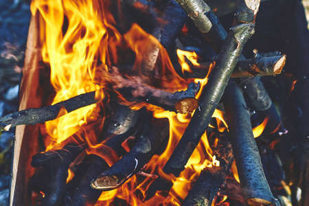 Kindling fruit firewood for grilling and smoking fish meat.