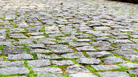 Paving stones. Paved pavement with sprouted green grass on a warm sunny dayの写真素材