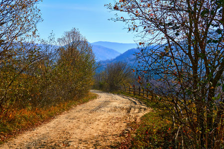Golden bright autumn and rural road in the mountains on a warm day.の写真素材