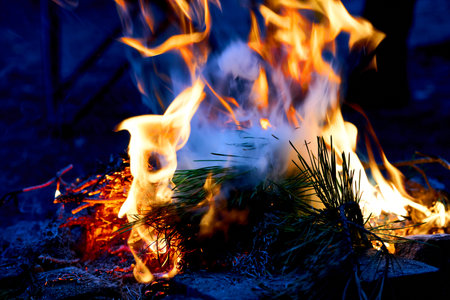 Bonfire and heat burning flame. Forest danger fireの写真素材