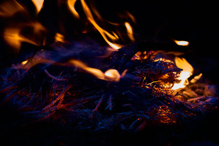 Bonfire and heat burning flame. Forest danger fire