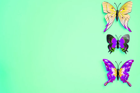 Multicolored variegated butterflies isolated on emerald green limeの写真素材