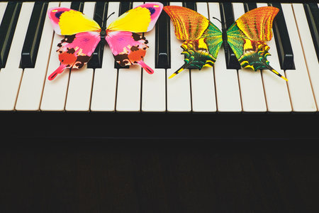 Musical synthesizer piano keys with colored butterflies. place for textの写真素材