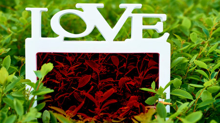 White frame love with red art middle on green plantsの写真素材