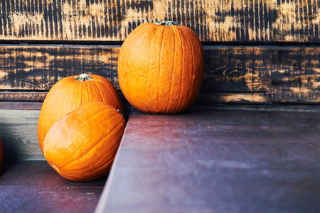 Three pumpkins lying on stone steps against a wall of wooden planksの写真素材