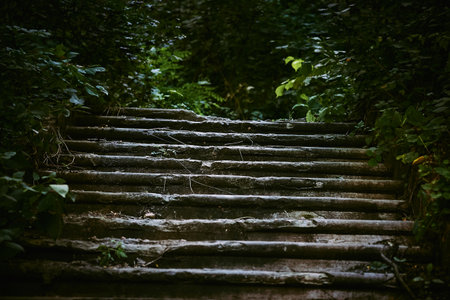 Dark ruined old stone staircase overgrown with impenetrable green bushesの写真素材