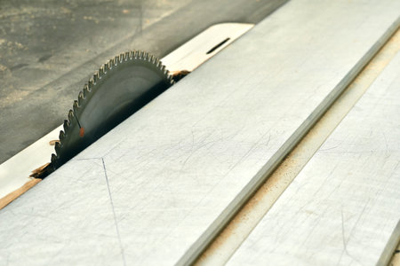 Automatic circular saw with circular saw for cutting wood