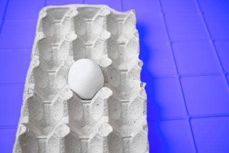 Chicken white egg in a cardboard tray on purple blueの写真素材