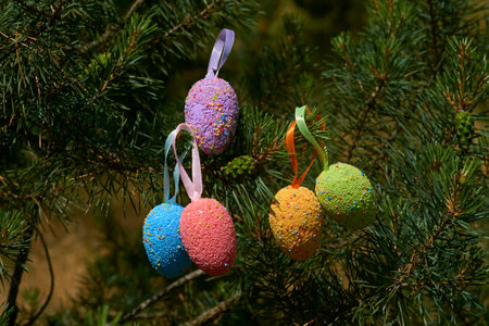 Multi colored Easter eggs on green pine branchesの写真素材