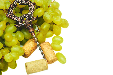 Corkscrew, wine stopper. Good old brandy, cognac, ripe grapesの写真素材