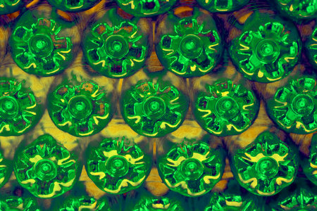 Abstract wall made from the bottoms of green plastic bottles