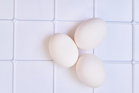 an oval or round object laid by a female bird, reptile, fish, or invertebrate, usually containing a developing embryoの写真素材