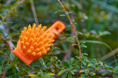an implement consisting of a sponge or a bundle of thick loose strings attached to a handle