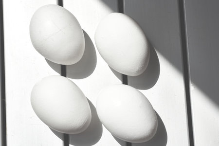an oval or round object laid by a female bird, usually containing a developing embryo