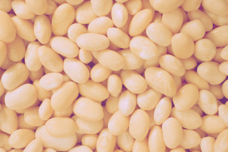 Fresh beans haricot for making stews, vegetable soupsの写真素材