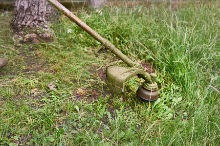 a handle electric or gasoline machine for cutting the grass on a lawn