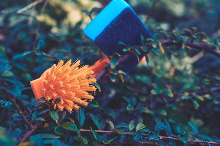 an implement consisting of a sponge or a bundle of thick loose strings attached to a handleの写真素材