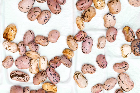 an edible seed, typically kidney shaped, growing in long pods on certain leguminous plants