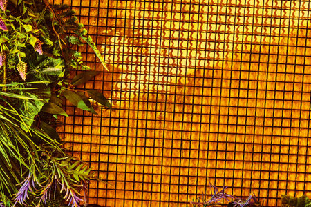 make something look more attractive by adding extra items or images to itの写真素材