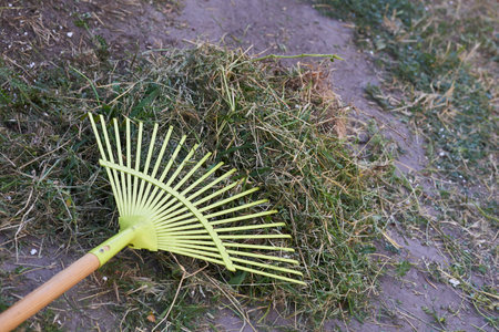 an implement consisting of a bundle of thick loose strings attached to a handle