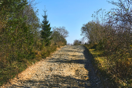 a wide way leading from one place to another, especially one with a specially prepared surface which vehicles can useの写真素材