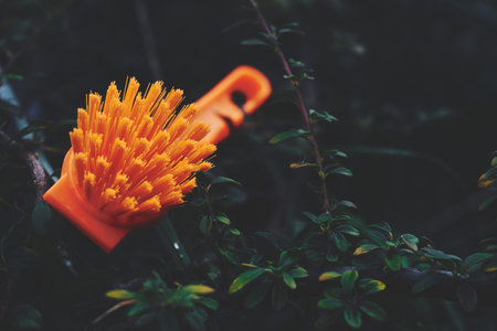 an implement consisting of a sponge or a bundle of thick loose strings attached to a handleの写真素材