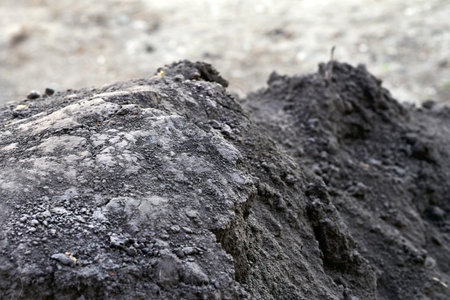 of soil or land. producing or capable of producing abundant vegetation or cropsの写真素材