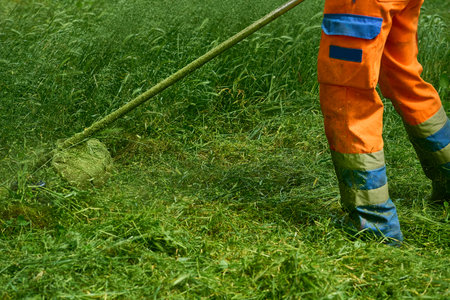 a handle electric or gasoline machine for cutting the grass on a lawn