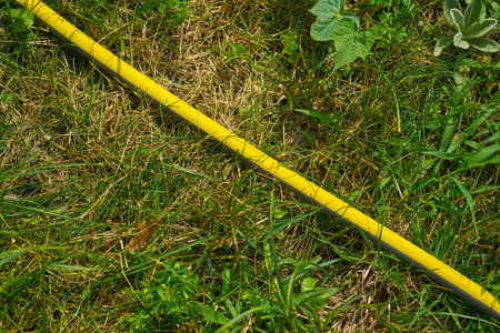 a flexible tube conveying water, used chiefly for watering plants and in firefighting.