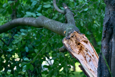 a violent disturbance of the atmosphere with strong winds and usually rain, thunder, lightning, or...