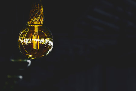 a device for giving light, either one consisting of an electric bulb together with its holder and...