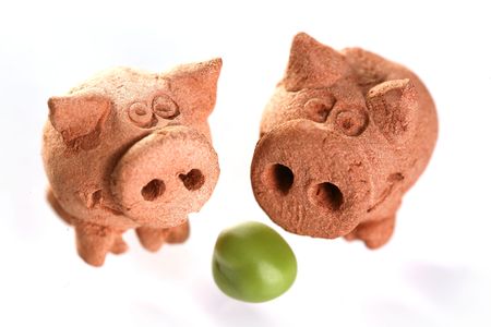 Fresh green peas with pigsの写真素材