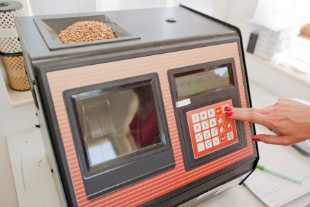 Instrument for measuring of moisture in wheat grains at labの写真素材