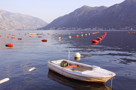 Mussels farm and  nursery on the Adriatic seaの写真素材
