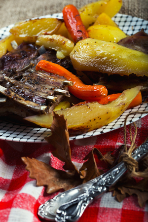 Young lamb with vegetables served rusticallyの写真素材