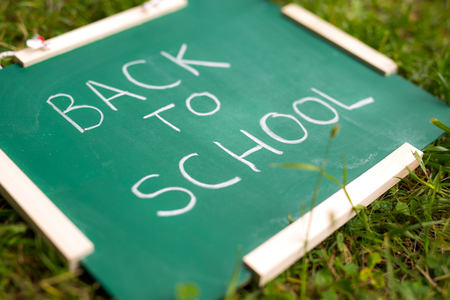 Back to school. Blackboard on the grassの写真素材