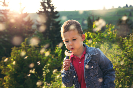 Young boy blowing dandelion seeds in outdoorの写真素材